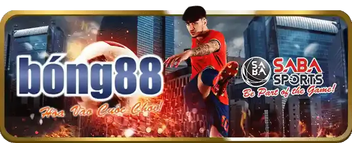 Chính sách cá cược có trách nhiệm Junn88